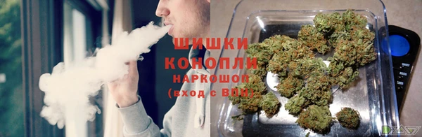 ПСИЛОЦИБИНОВЫЕ ГРИБЫ Нефтегорск