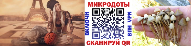 hydra зеркало  где купить наркоту  Тарко-Сале  Псилоцибиновые грибы Psilocybe 
