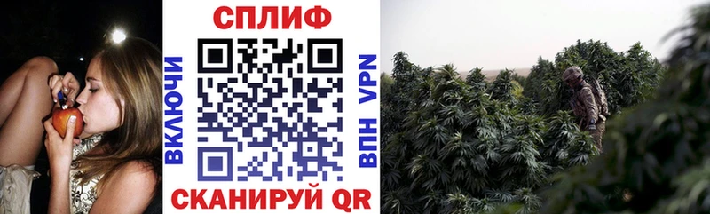 блэк спрут ссылки  Тарко-Сале  МАРИХУАНА White Widow 